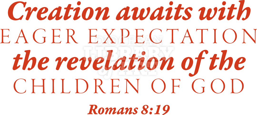 Creation Awaits With Eager Expectation The Revelation Of The Children Of God