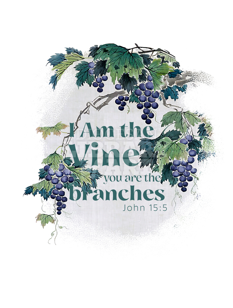 I Am The Vine You Are The Branches Clipped : Cover