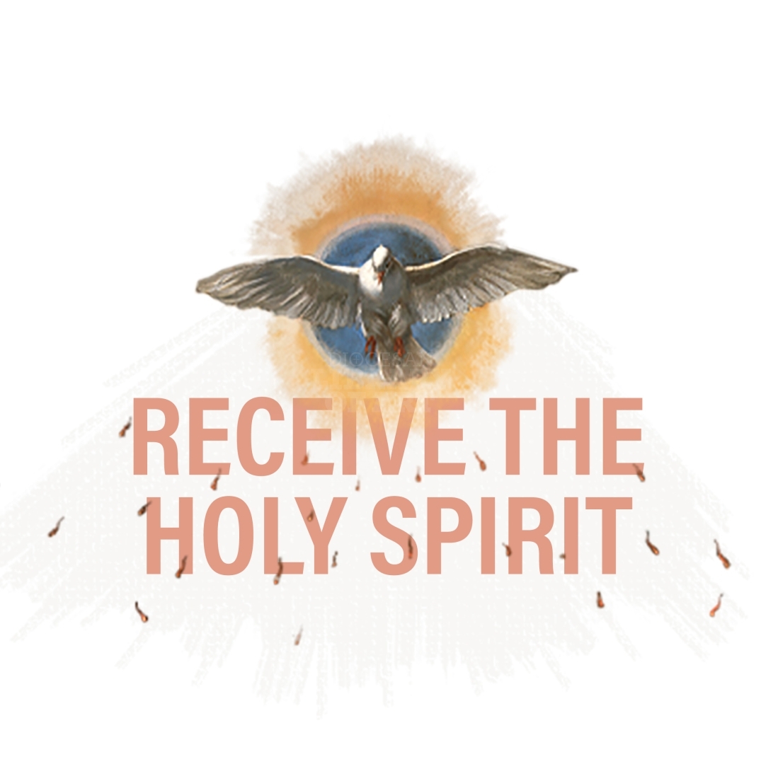 Diocesan Library of Art - Receive The Holy Spirit Clipped : Square